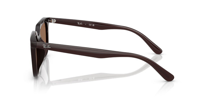 RayBan RB 4439D 6231/73