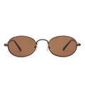 Regulus Chocolate Uni-Sex Oval Sunglasses | Aire