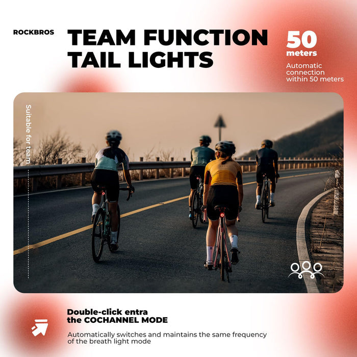 ROCKBROS Rear Bike Light Rechargeable Waterproof Ultra Bright LED Taillight - ROCKBROS-UK