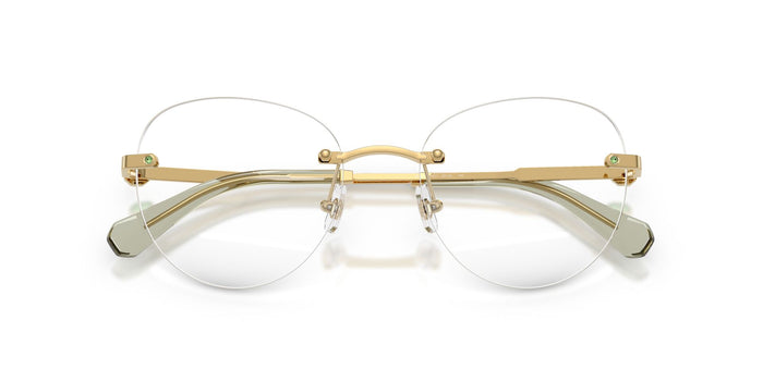 Swarovski SK 1021 4017