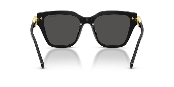 Swarovski SK 6041 100187