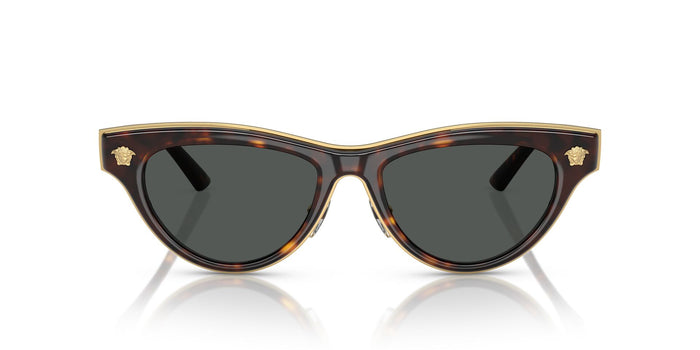 Versace VE 2273 108/87