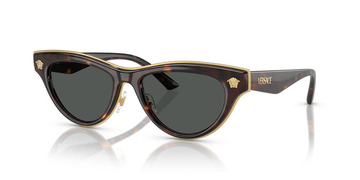 Versace VE 2273 108/87