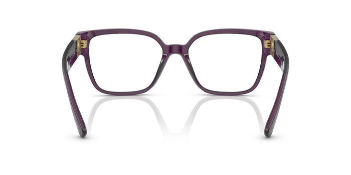 Versace VE 3329B  5384