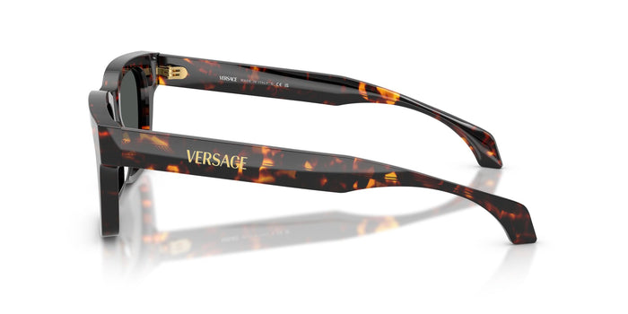 Versace VE 4486 5509/87
