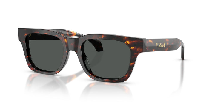 Versace VE 4486 5509/87