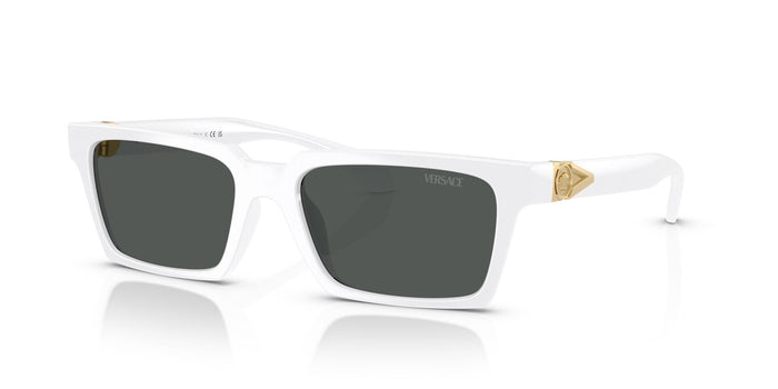 Versace VE 4490-U 314/87