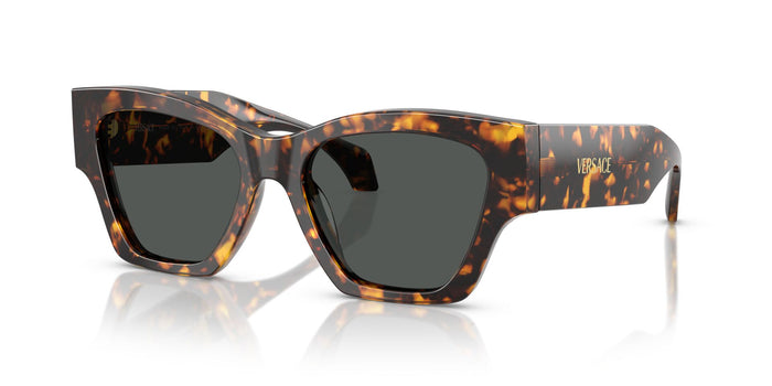 Versace VE 4492U  551487