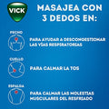 Vick Vaporub 100 g